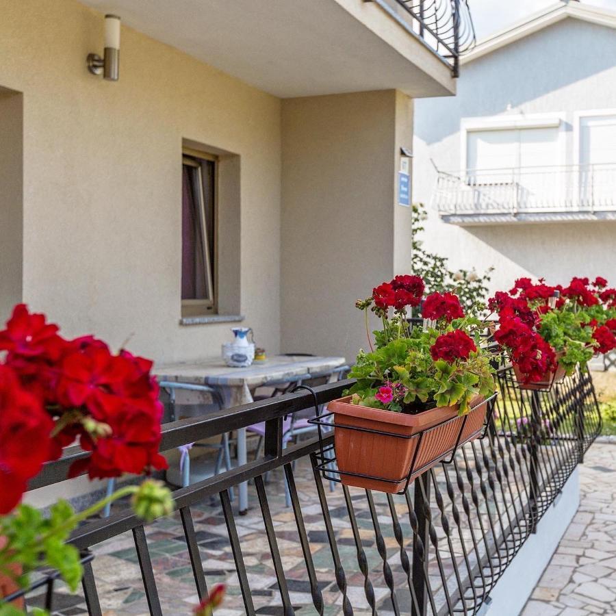 Apartment Belma Porec Radmani Exteriör bild